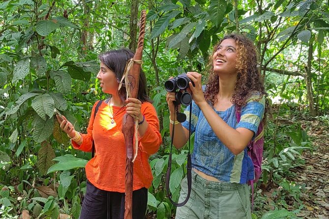 Private Cacao and Medicinal Plants Ceremony - Event Overview