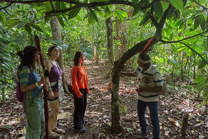 Private Cacao and Medicinal Plants Ceremony - The Sum Up