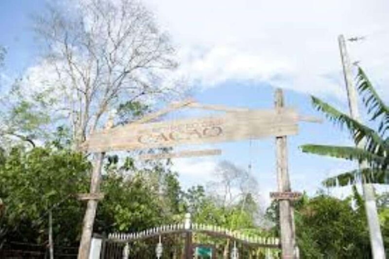 Private: Cacao Plantation Tour with Lunch & Tasting - Good To Know