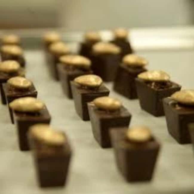 Private: Cacao Plantation Tour with Lunch & Tasting - Practical Details: What You Should Know