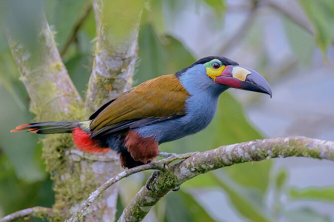 Private Cajas National Park Tour Through Cloud Forest and Moorlands - Booking Information