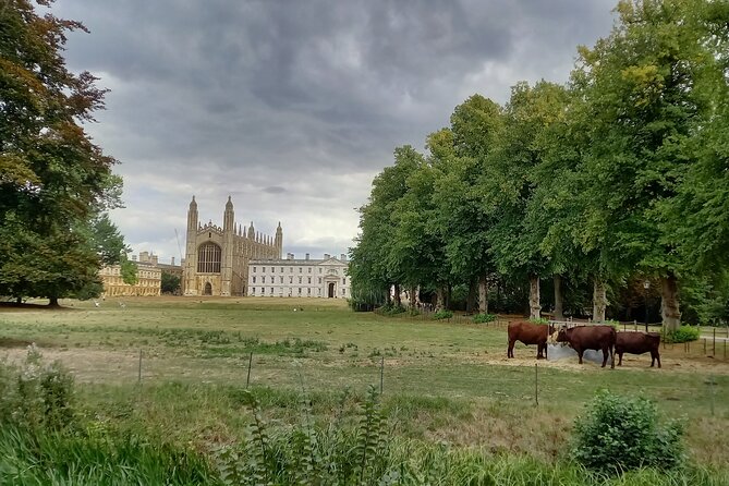 Private Cambridge Day Trip - Common Questions About the Private Cambridge Day Trip