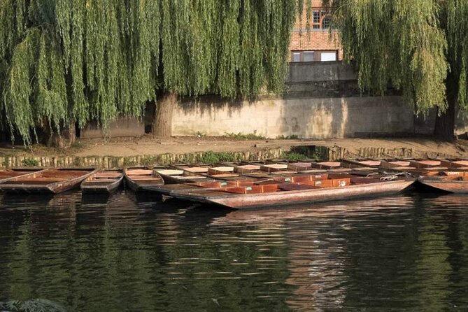 Private Cambridge Punting Tour - Reviews