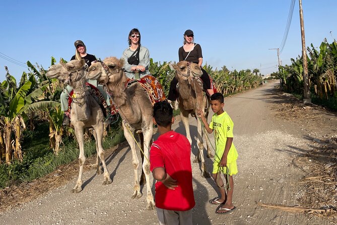 Private Camel, Horse or Donkey Ride in Luxor - Exclusions