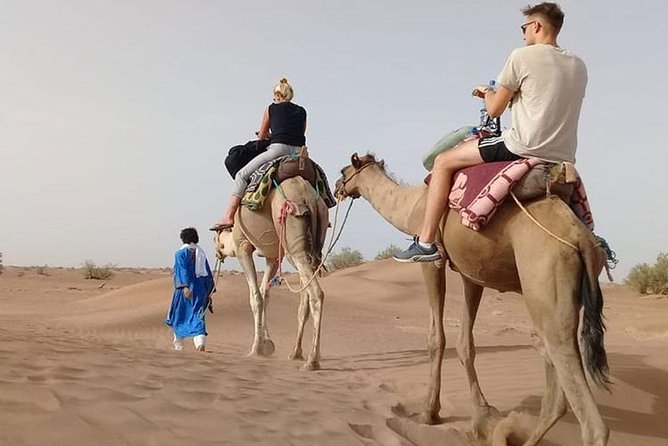 Private - Camel Ride Tour With Dune Bashing, BBQ Dinner and Belly Dance - Tour Highlights