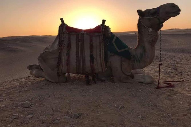 Private Camel Riding Tour of Giza Pyramids at Sunset With Local Bedouin Dinner - Additional Information