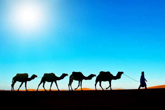Private Camel Sunset Ride Experience in Merzouga Dunes - Cancellation Policy
