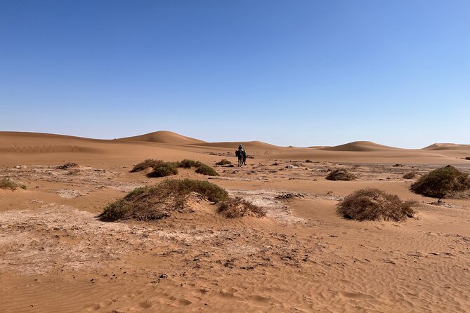 Private Camel Trekking Desert Tour in Morocco 7 Days - Cancellation Policy