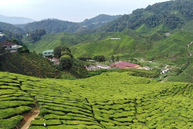 Private: Cameron Highlands 2 days 1 night Trip - Good To Know