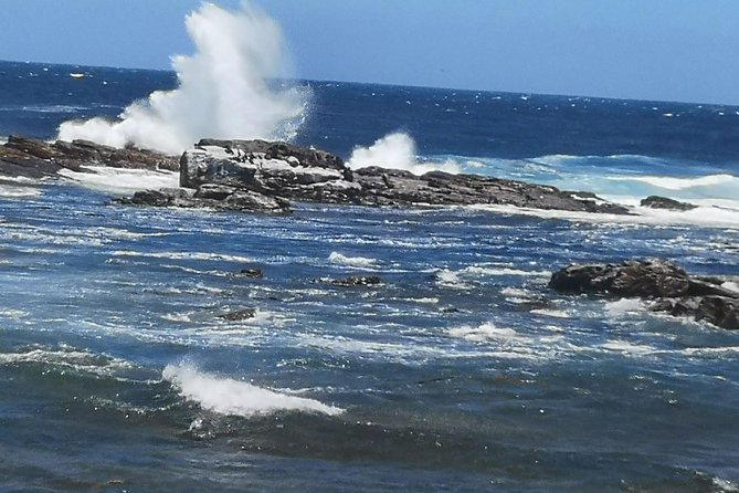 Private Cape Good Hope Cape Point Penguins From Stellenbosch. - Reviews