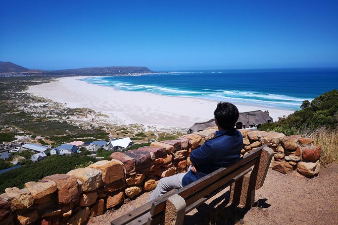 Private Cape Good Hope Cape Point Penguins From Stellenbosch. - The Sum Up