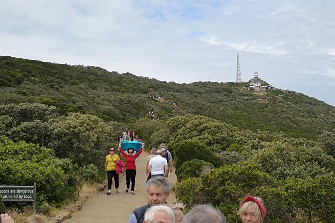Private Cape of Good Hope Cape Point Penguin Kirstenbosch Tour. - Tour Itinerary