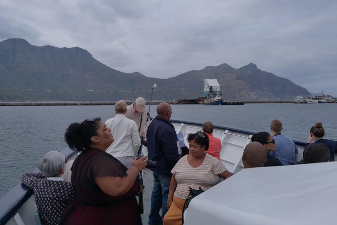 Private Cape of Good Hope Cape Point Penguins Kirstenbosch Tour - Optional Activities