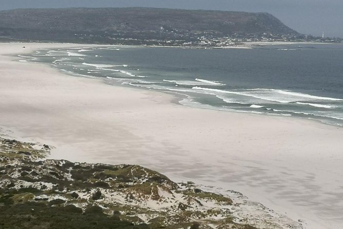 Private Cape of Good Hope Cape Point Penguins Kirstenbosch Tour - Meeting and Pickup