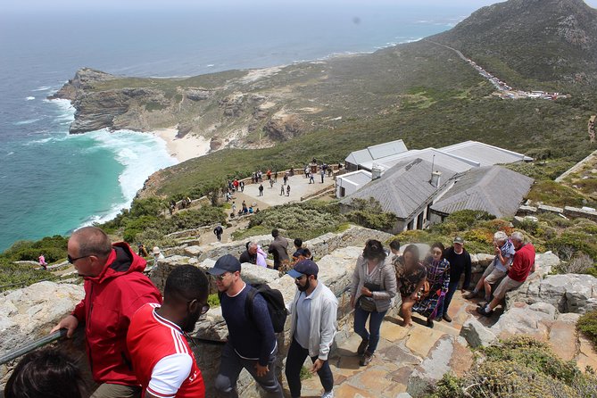 Private Cape of Good Hope, Penguins, Table Mountain and the Wineries 2 Days - Experience Highlights