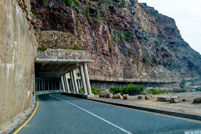 Private Cape of Good Hope Sightseeing and African Penguin Tour - Tour Reviews