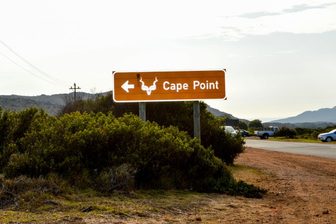 Private Cape of Good Hope Sightseeing and African Penguin Tour - Booking and Terms
