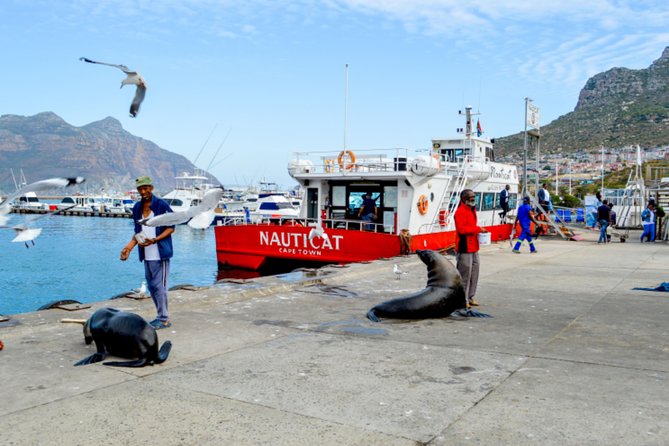 Private Cape of Good Hope Sightseeing and African Penguin Tour - Common Questions