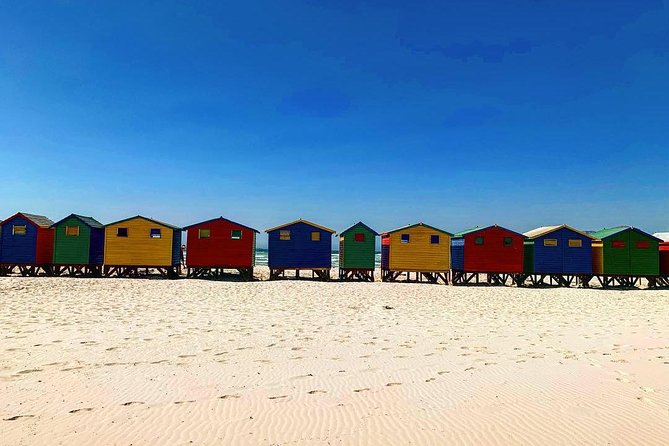 Private Cape of Good Hope Tour & Cape Point - Important Cancellation Policy Details