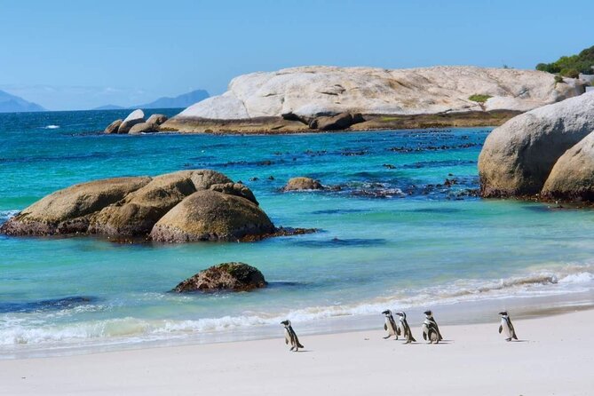 Private Cape Peninsula Day Tour - Itinerary Overview
