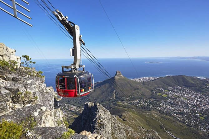 Private: Cape Peninsula & Table Mountain Full Day Tour. - Tour Highlights