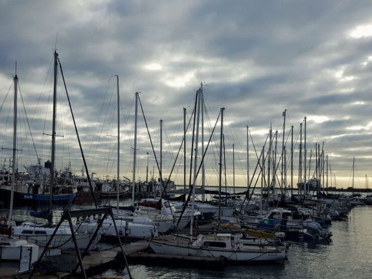 Private Cape Peninsular Full Day Tour - Good To Know