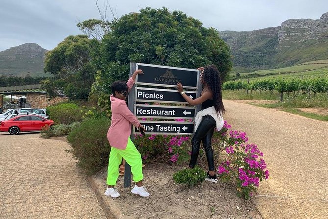 Private: Cape Point and Wine Lands Full Day Tour. - Tour Overview