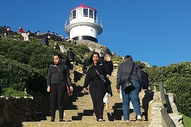 Private Cape Point Penguins Tour - a Full Day of Exploring the Cape Peninsula - Reviews
