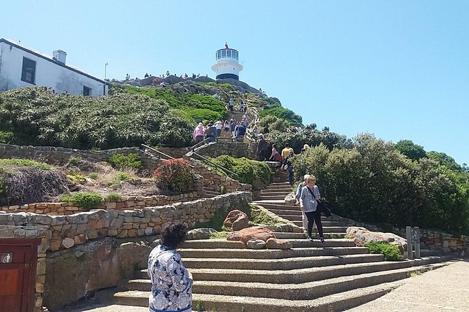 Private Cape Point Penguins Tour - a Full Day of Exploring the Cape Peninsula - Important Information and Tips