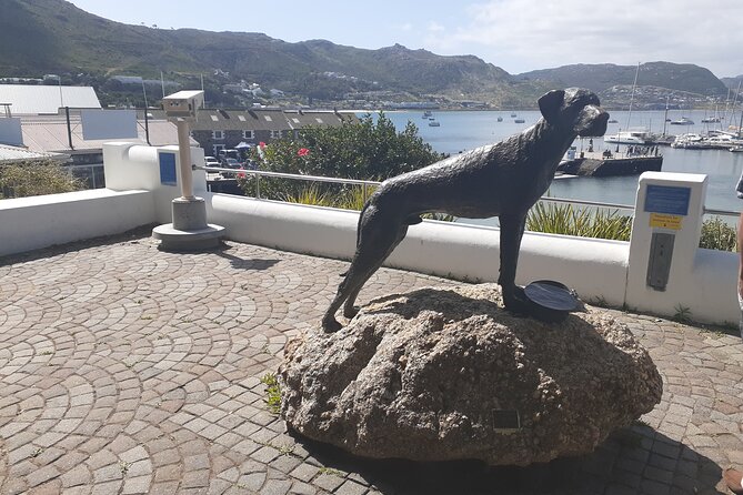 Private Cape Point / Peninsula Tour - Tour Inclusions