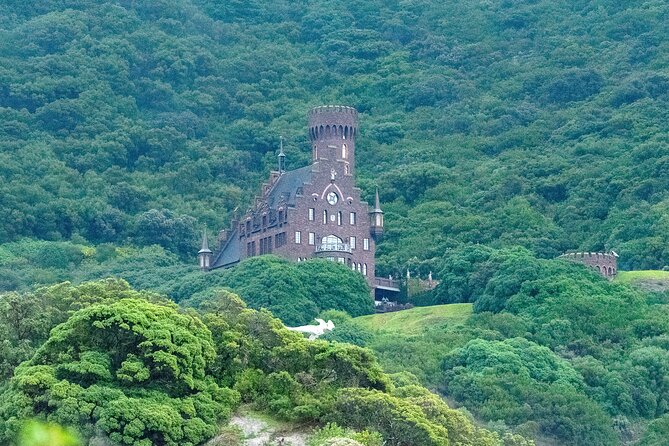 Private Cape Point / Peninsula Tour - Booking Information