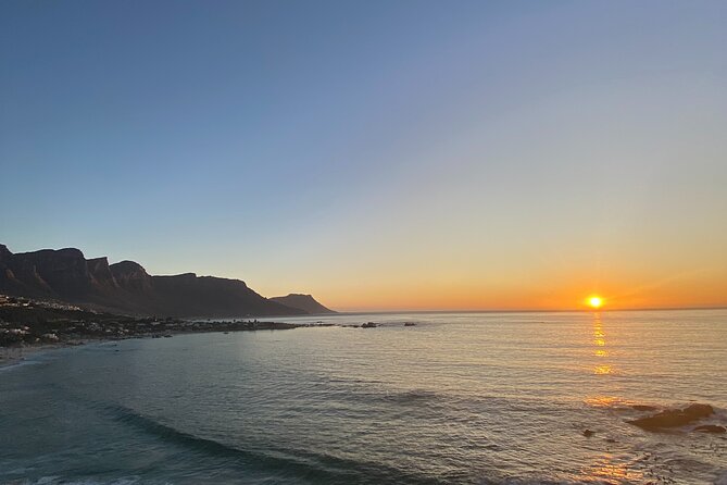 Private Cape Point / Peninsula Tour - Contact and Support