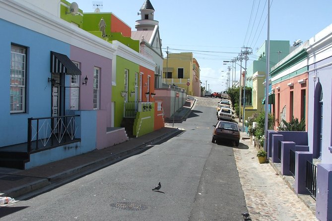 Private Cape Town City Bowl Kirstenbosch and Table Mountain Tour. - Tour Highlights