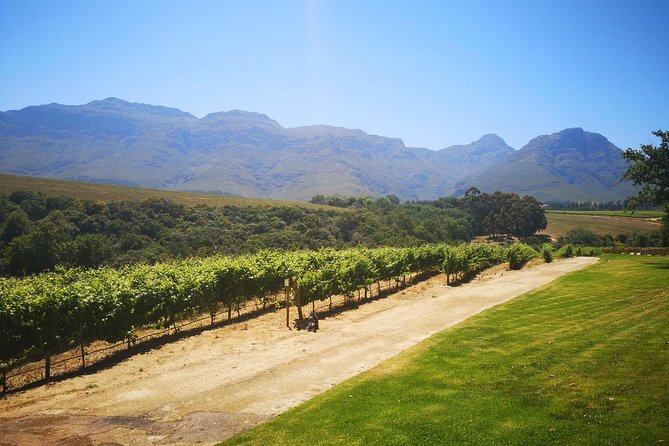 Private Cape Winelands Tour From Cape Town - Tour Details