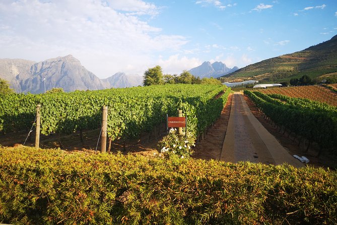 Private Cape Winelands Tour From Cape Town - Reviews
