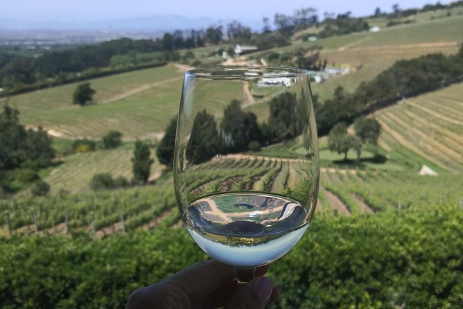 Private Cape Winelands Wine Tasting Tour - The Sum Up