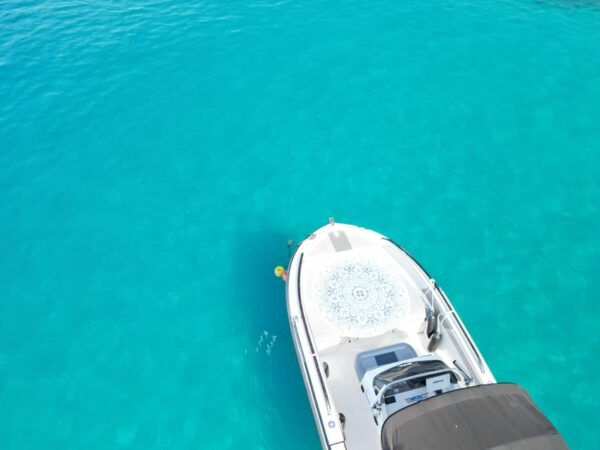 Private Capri Tour - Availability and Booking