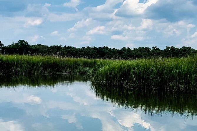 Private Captained Luxury Electric Boat Charter in Savannah - An In-Depth Look at the Savannah Electric Boat Experience