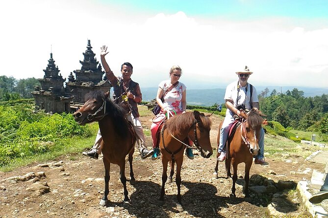 Private Car and Driver in Yogyakarta - Traveler Photos Display