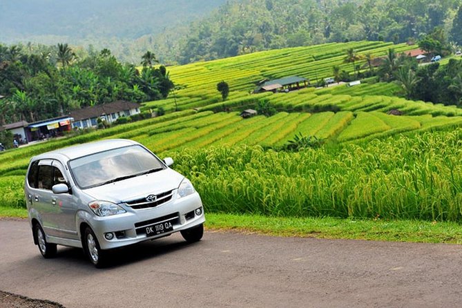 Private Car Charter - EXPLORE BALI WITH YOUR ITINERARY for 10 HOURS PER DAY - Pricing and Availability