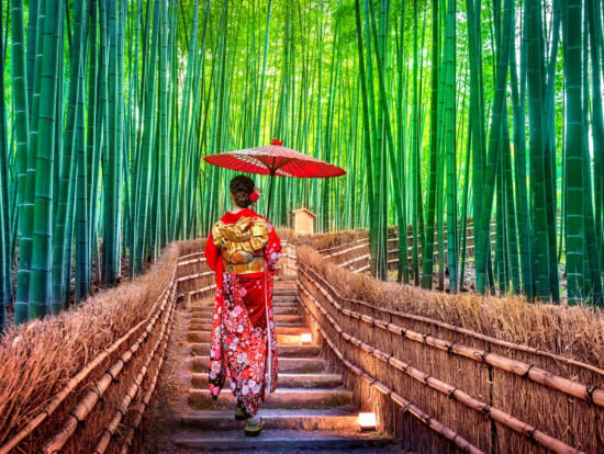 Private Car Charter Osaka City Transfer: Universal Studios Japan, Kyoto, Nara, Kobe, Arima, Wakayama, Nagoya (One-Way Transfer) - A smooth pickup depends on good timing