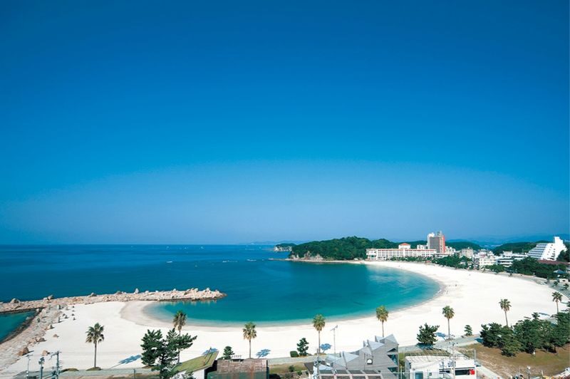 Private Car Charter Osaka City Transfer: Universal Studios Japan, Kyoto, Nara, Kobe, Arima, Wakayama, Nagoya (One-Way Transfer) - Expect practical communication, not English conversation