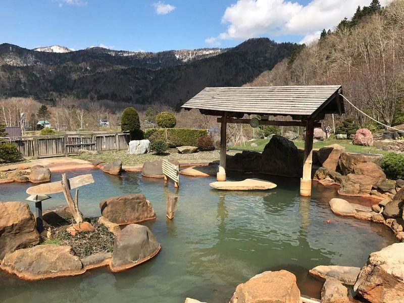 Private Car Charter Tour: Hokkaido Sapporo, Jozankei, and Otaru Day Trip | Customizable Itinerary - What the starting price includes, and what it does not
