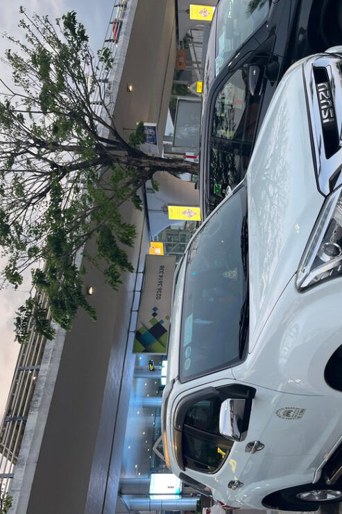 Private Car From Danangairport/Train Station to Danang/Hoian - Vehicle and Driver Details