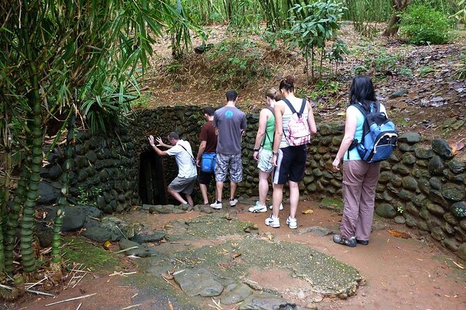 Private Car From Hue to Phong Nha or Vice Versa - Viator: A Trusted Travel Service Provider