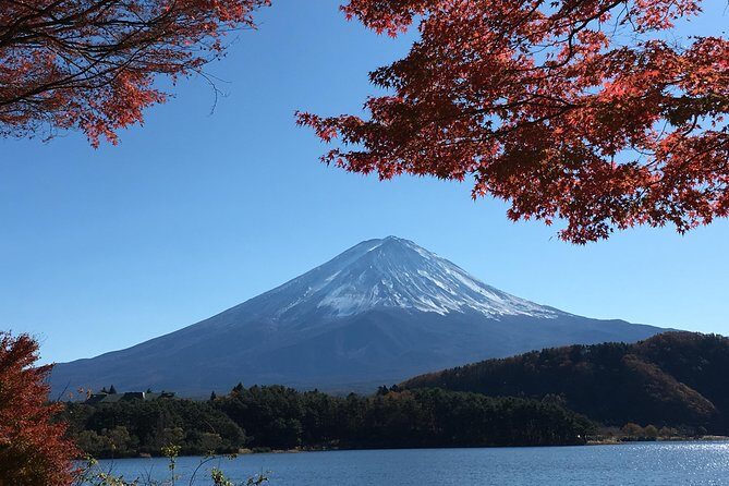 Private Car Mt Fuji and Gotemba Outlet in One Day from Tokyo - Lake Kawaguchiko and Seasonal Delights