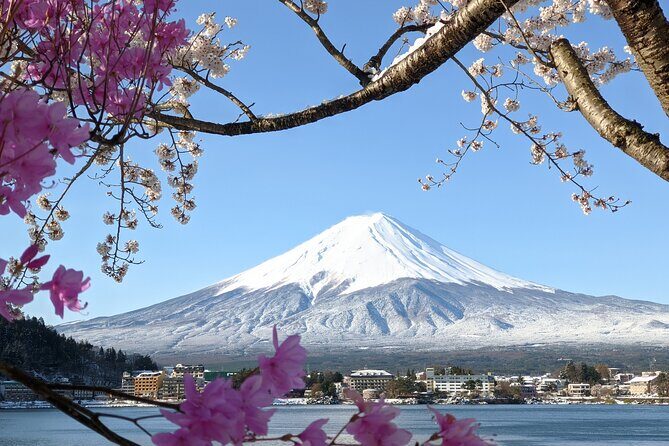 Private Car Mt Fuji and Gotemba Outlet in One Day from Tokyo - Final Thoughts