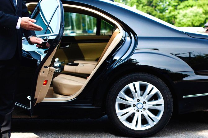 Private Car to MY SON Sanctuary and Back From Hoi An/Da Nang - Customer Testimonials
