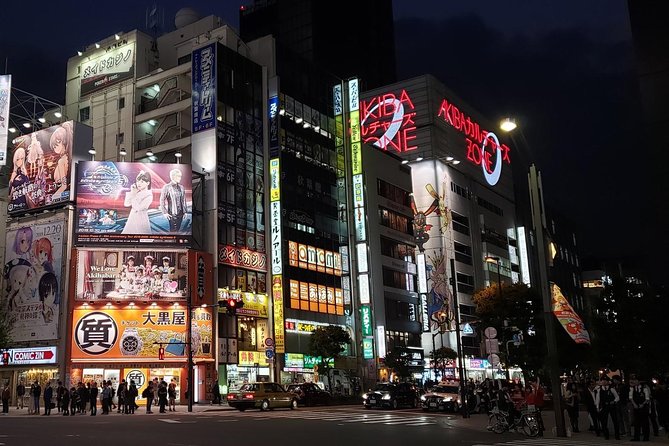 Private Car Tokyo Tour - Booking Details