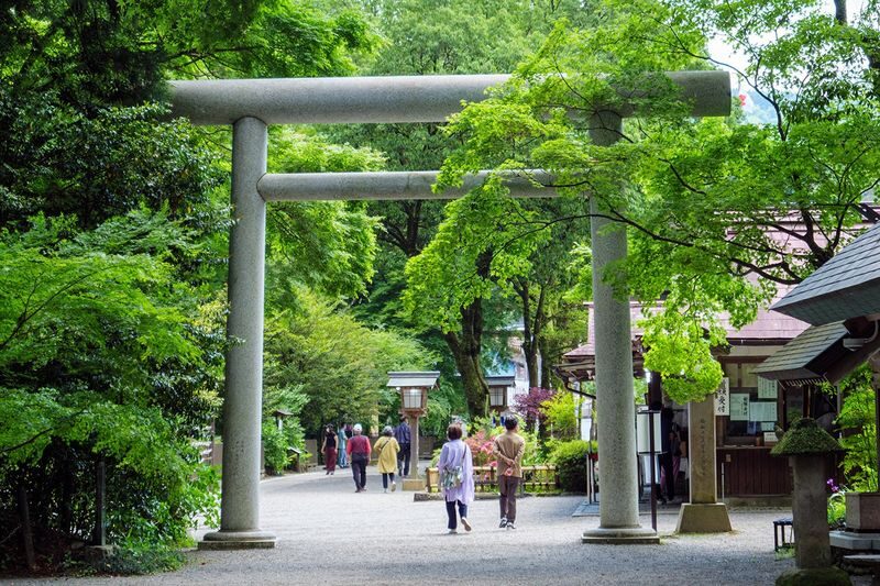 Private car tour from Kumamoto to Takachiho (Aso) and surrounding areas | Takachiho Gorge | Amanoiwato Shrine | Takachiho Shrine | Takachiho Trolley Train | Mount Aso | Kusasenri | Kamishikimi Kumanoimasu Shrine, etc. - Mount Aso, Kusasenri, and the extra stops